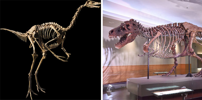 30 People Describe Things They Strongly Suspect But Have No Proof Of