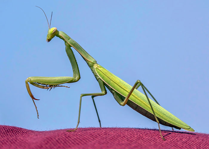 30 People Describe Things They Strongly Suspect But Have No Proof Of