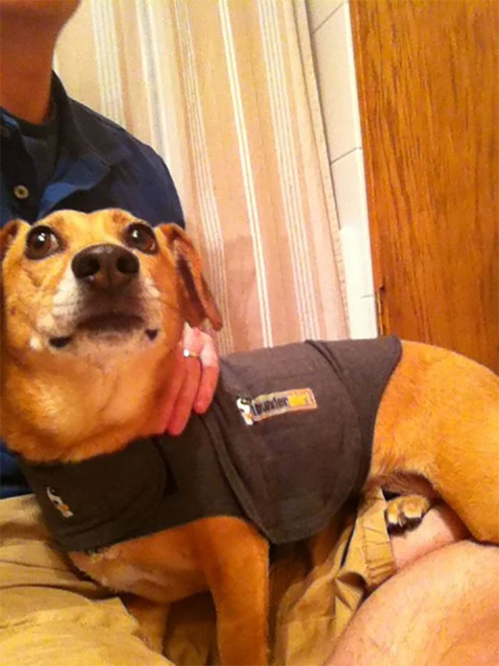 "What Seems Like Snake Oil But Is Actually 100% Legit?" (50 Answers)