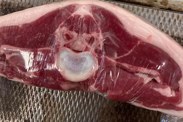 Things-With-Faces-Pics