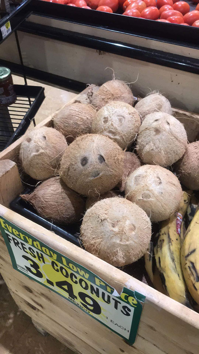 Things-With-Faces-Pics