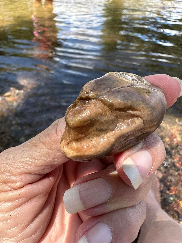 Things-With-Faces-Pics