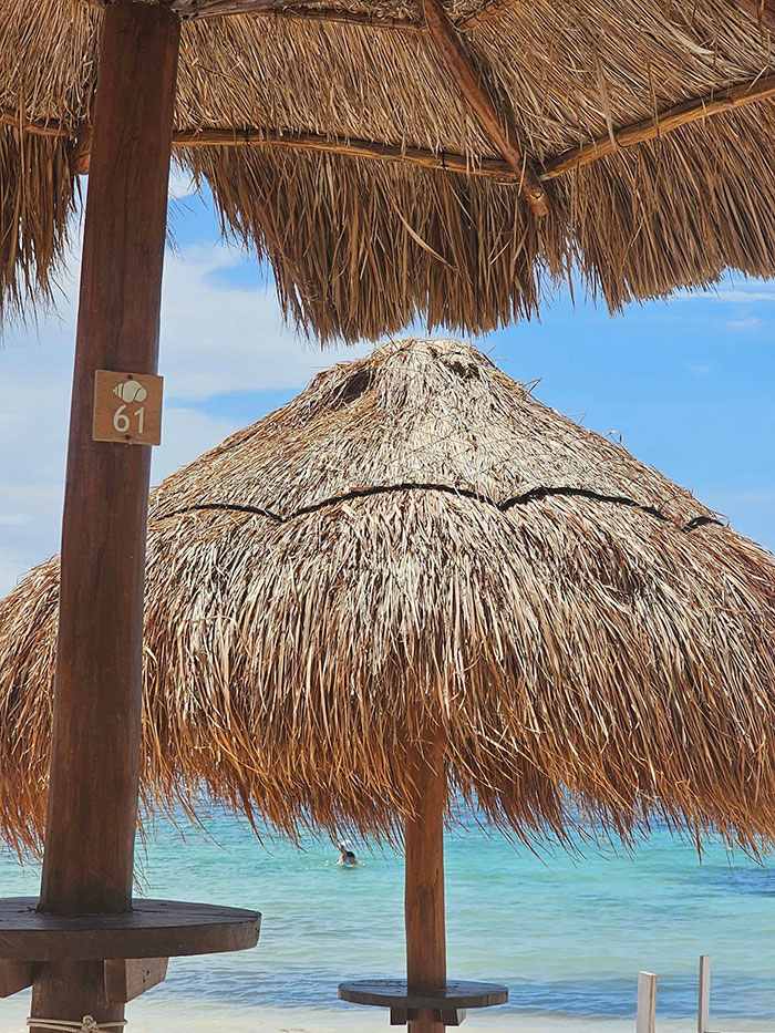 Things-With-Faces-Pics