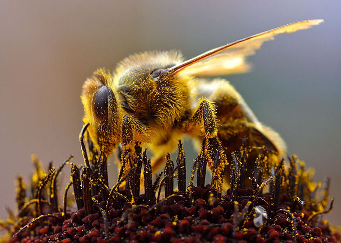 35 Fascinating Facts That People Only Learned Now And Just Had To Share With Others (New Pics)