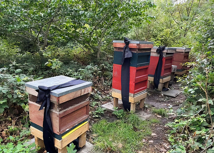 35 Fascinating Facts That People Only Learned Now And Just Had To Share With Others (New Pics)