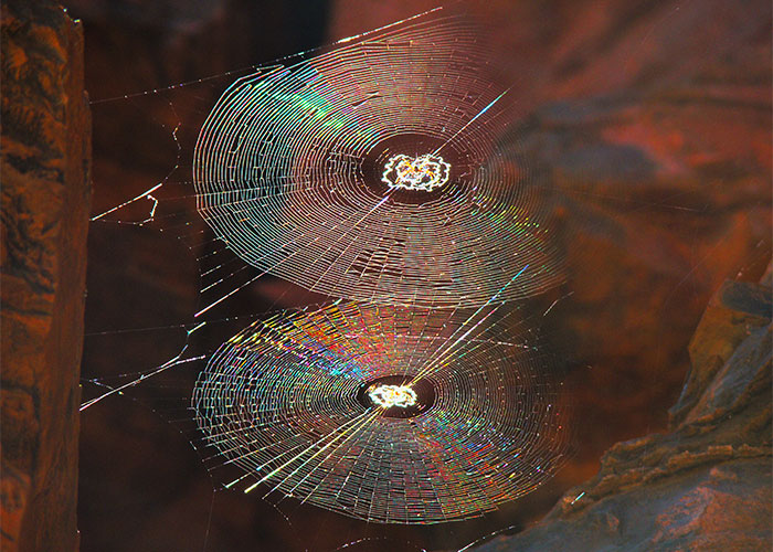 35 Fascinating Facts That People Only Learned Now And Just Had To Share With Others (New Pics)