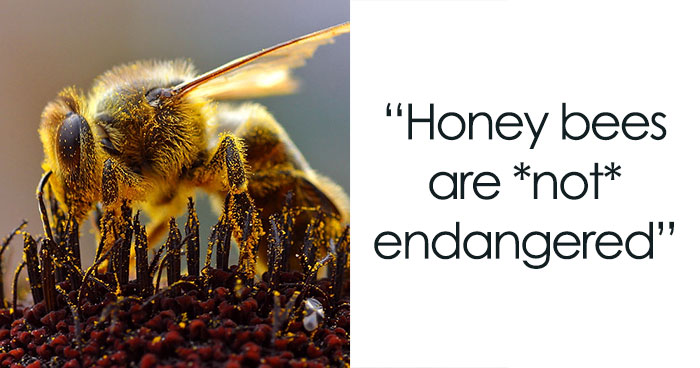 35 Fascinating Facts That People Only Learned Now And Just Had To Share With Others (New Pics)