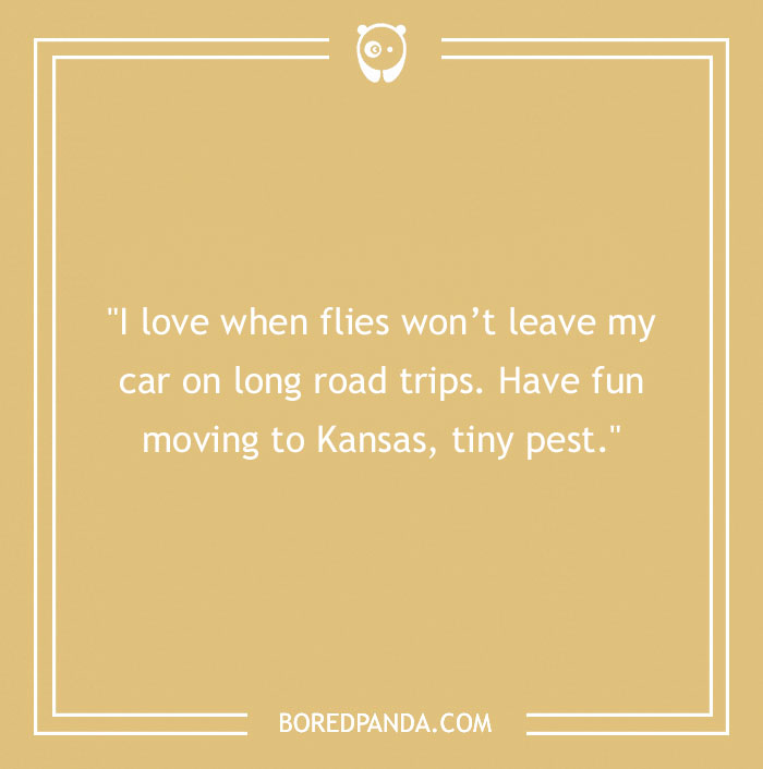 92 Travel Jokes To Quench Your Wanderlust