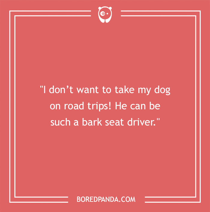 92 Travel Jokes To Quench Your Wanderlust