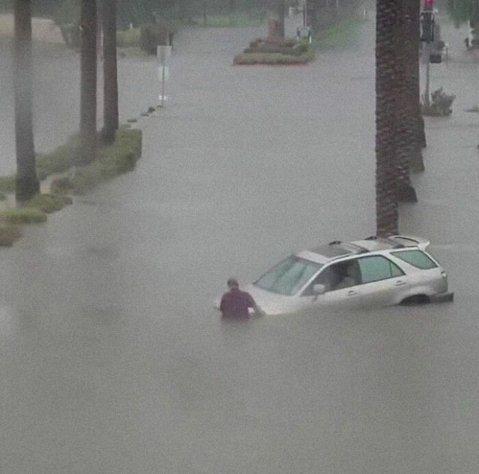 Earthquake And Storm Hit California, People Are Forced To Climb Trees To Escape Floodwaters And Mudslides