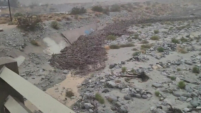 Earthquake And Storm Hit California, People Are Forced To Climb Trees To Escape Floodwaters And Mudslides