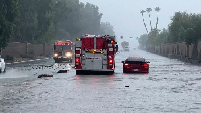 Earthquake And Storm Hit California, People Are Forced To Climb Trees To Escape Floodwaters And Mudslides