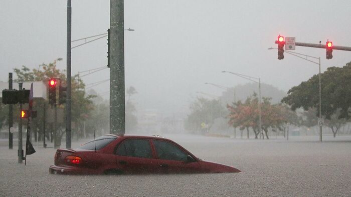 Earthquake And Storm Hit California, People Are Forced To Climb Trees To Escape Floodwaters And Mudslides