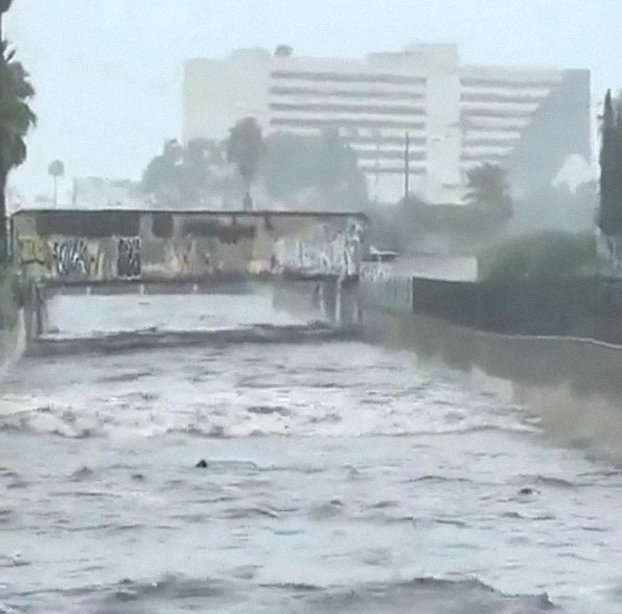 Earthquake And Storm Hit California, People Are Forced To Climb Trees To Escape Floodwaters And Mudslides