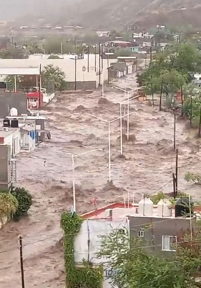 Earthquake And Storm Hit California, People Are Forced To Climb Trees To Escape Floodwaters And Mudslides