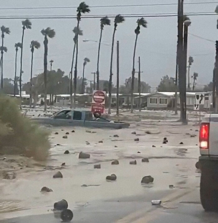 Earthquake And Storm Hit California, People Are Forced To Climb Trees To Escape Floodwaters And Mudslides