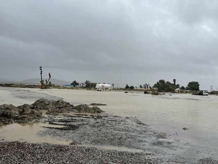 Earthquake And Storm Hit California, People Are Forced To Climb Trees To Escape Floodwaters And Mudslides