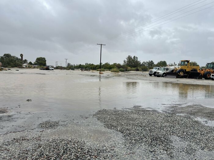 Earthquake And Storm Hit California, People Are Forced To Climb Trees To Escape Floodwaters And Mudslides