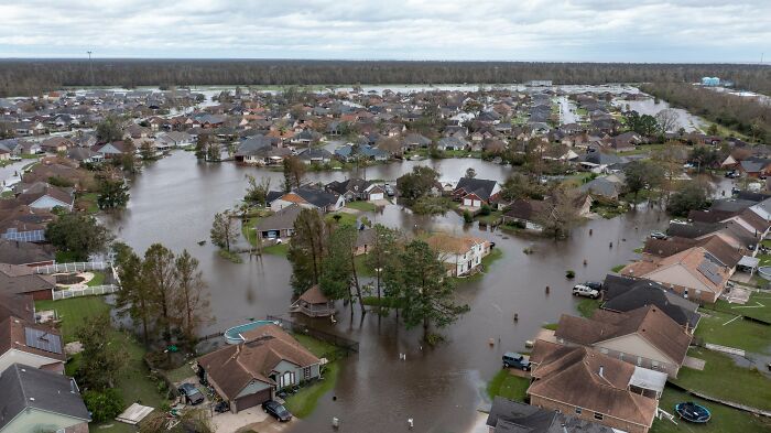 Earthquake And Storm Hit California, People Are Forced To Climb Trees To Escape Floodwaters And Mudslides