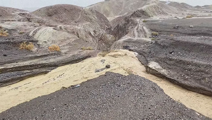 Earthquake And Storm Hit California, People Are Forced To Climb Trees To Escape Floodwaters And Mudslides