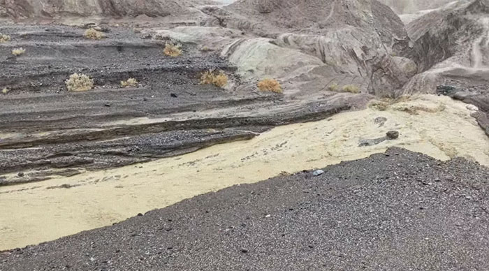 Earthquake And Storm Hit California, People Are Forced To Climb Trees To Escape Floodwaters And Mudslides