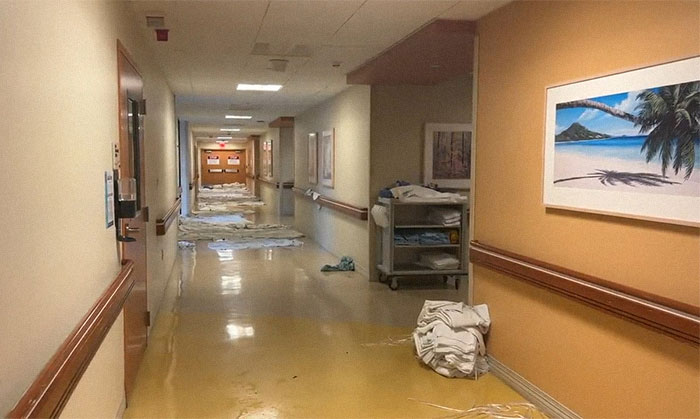 Earthquake And Storm Hit California, People Are Forced To Climb Trees To Escape Floodwaters And Mudslides