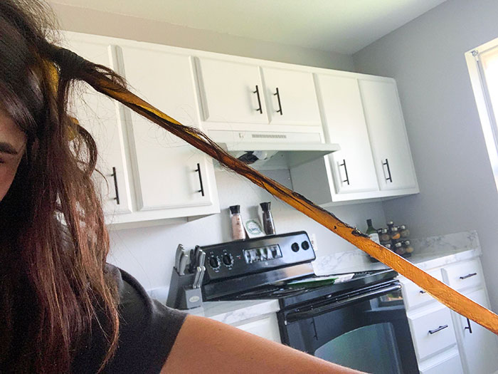 I Walked Through A Fly Strip This Morning. I've Spent An Hour Shampooing Glue And Fly Guts Out Of My Hair