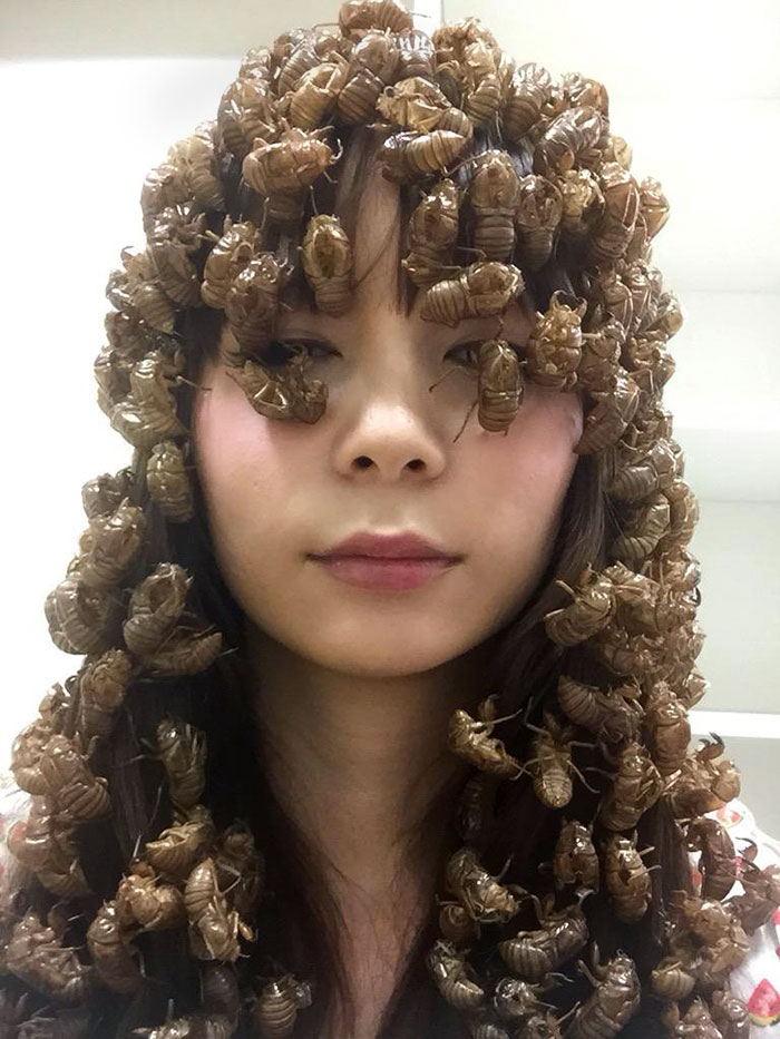 Summer Has Come Again This Year