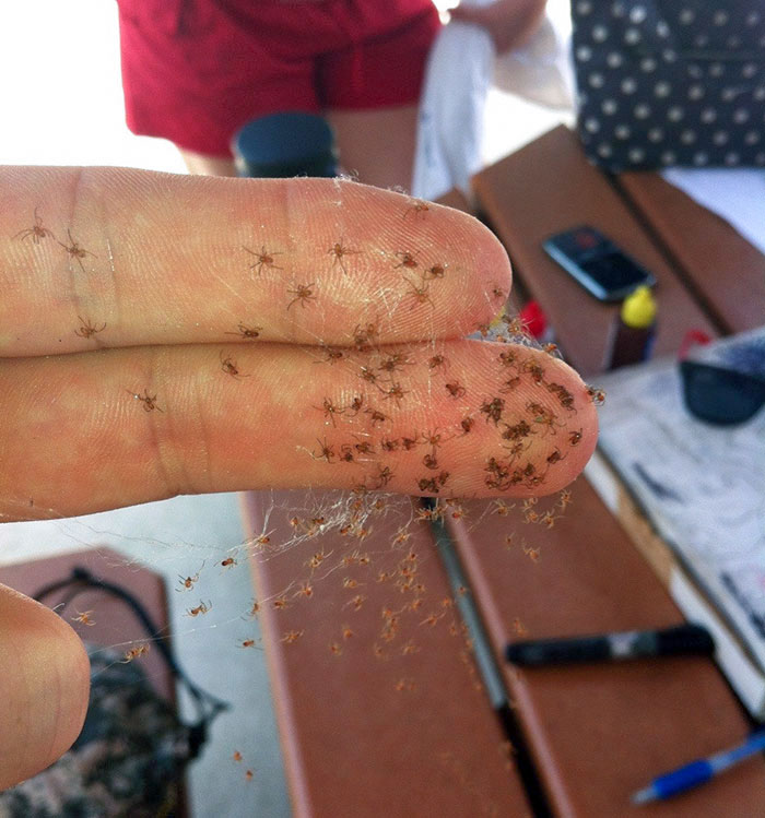 A Different Kind Of Sticky Fingers