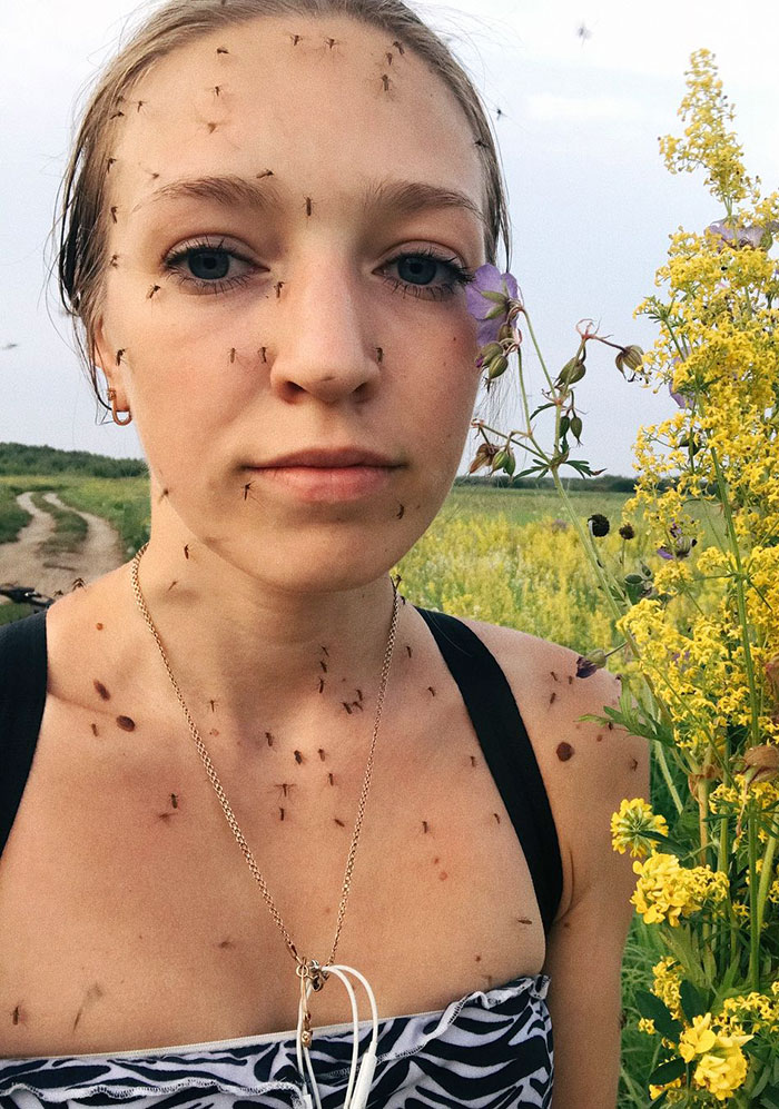 Want To Stop And Take A Shot? Or Put Together A Bouquet? Then Feed A Bunch Of Mosquitoes. This Was Awful