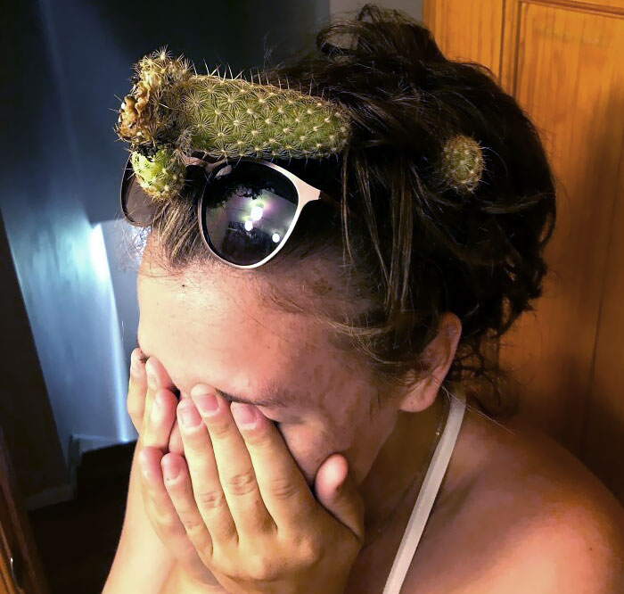 Tengo un cactus atrapado en mi cabello