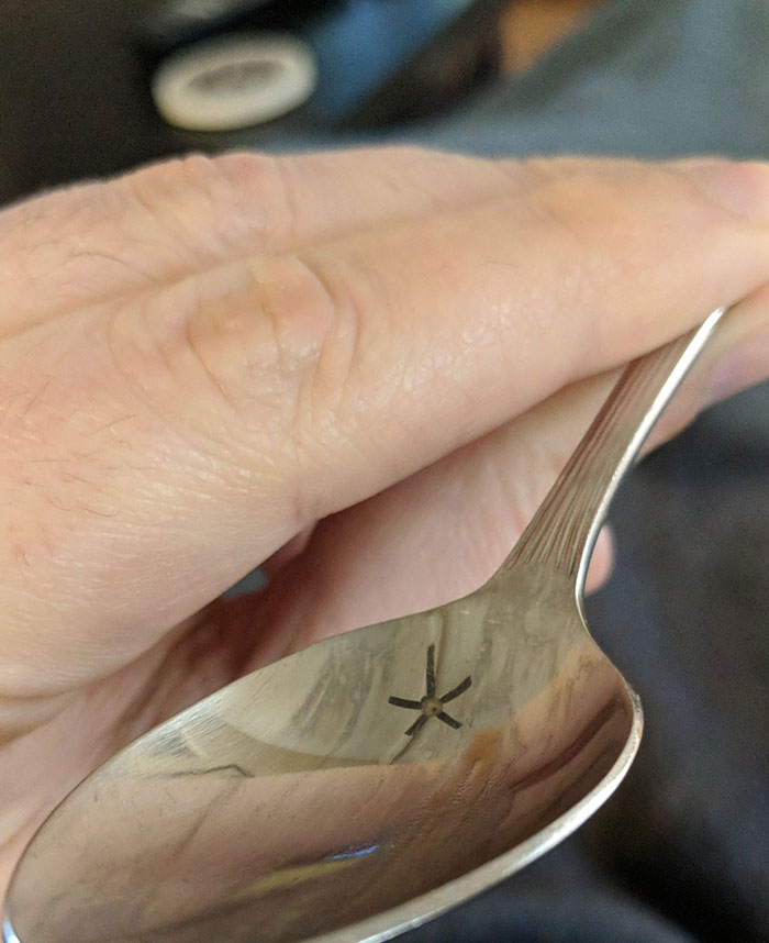 I Just Launched My Spoon Across The Room And Screamed Like A Girl Because I Thought There Was A Spider In It