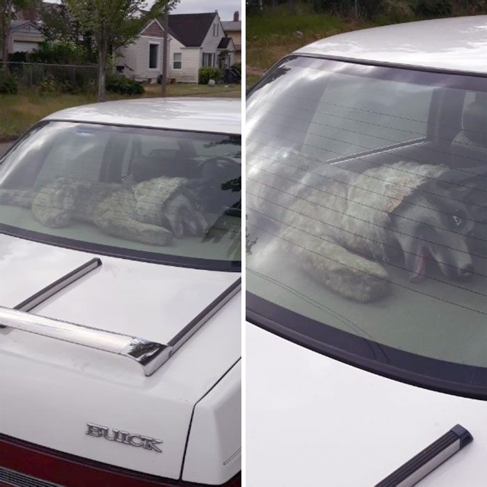 Legit Scared Me On My Walk