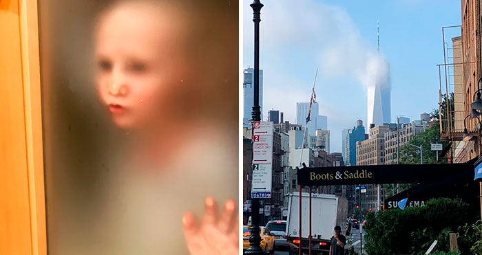 “Scared The Bejesus Out Of Me”: 50 Times People Almost Had A Heart Attack But Took A Second Look (New Pics)