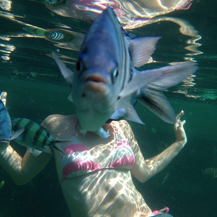 My Friend Tried To Take An Underwater Photo Of His Wife During Their Honeymoon