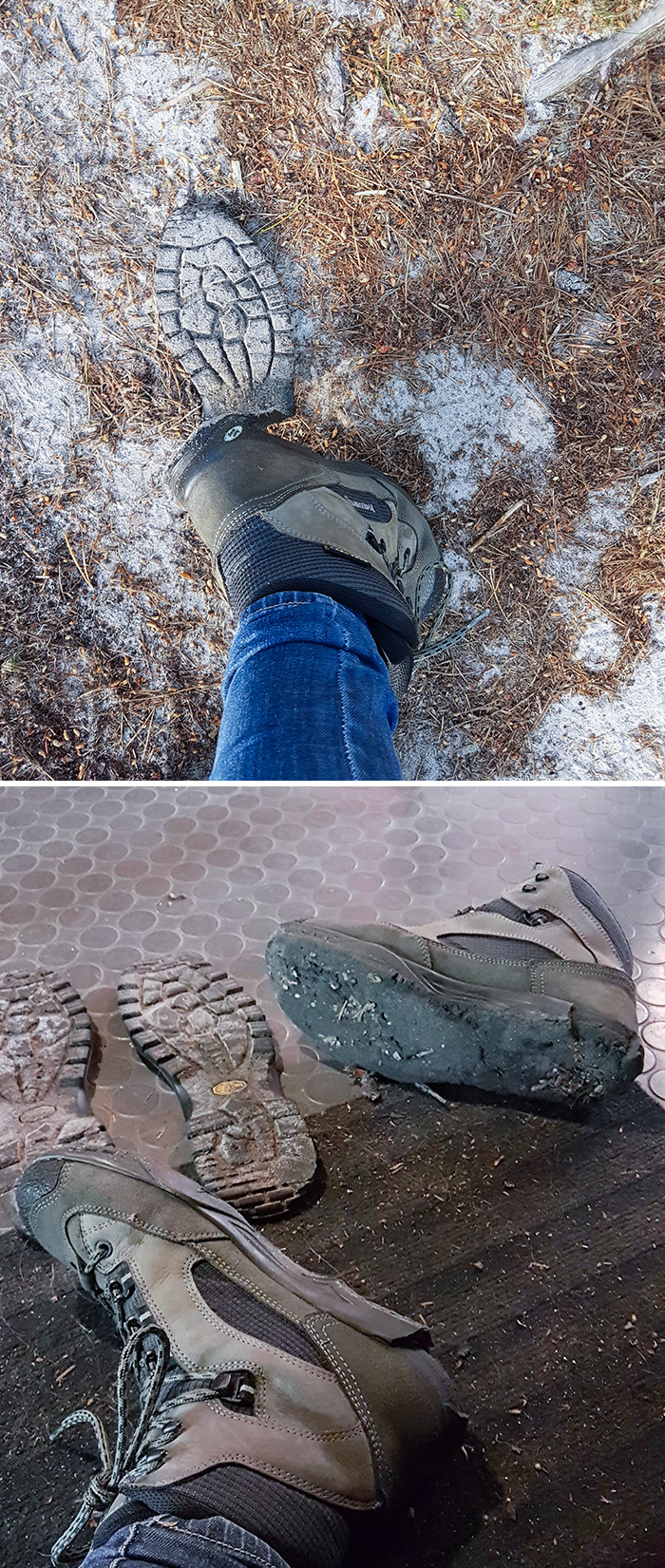 The Soles Of My Shoes Fell Off In The Middle Of The Forest While I Was Hiking