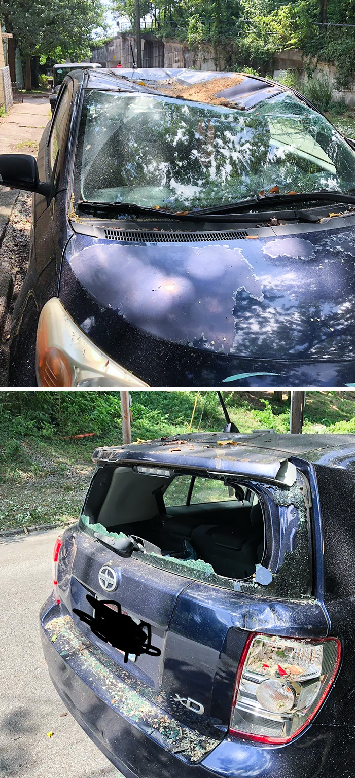 I'm About 1000 Miles Away On Vacation, And This Happened 2 Days Into My Trip