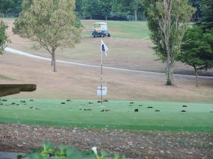 Eco-Vigilantes Take Drastic Measures To Fight Climate Change By Damaging Properties Of The 1%