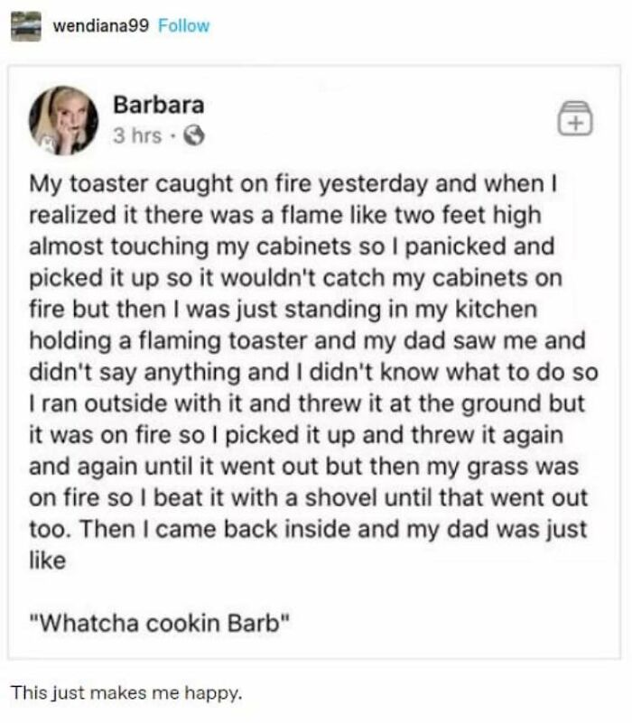 Social media post about a funny incident with a flaming toaster and a humorous response from dad.