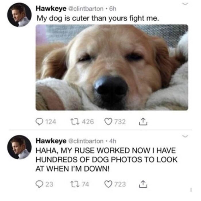 Funny pic of a dog sleeping with a humorous tweet about dog photo replies for a good laugh.