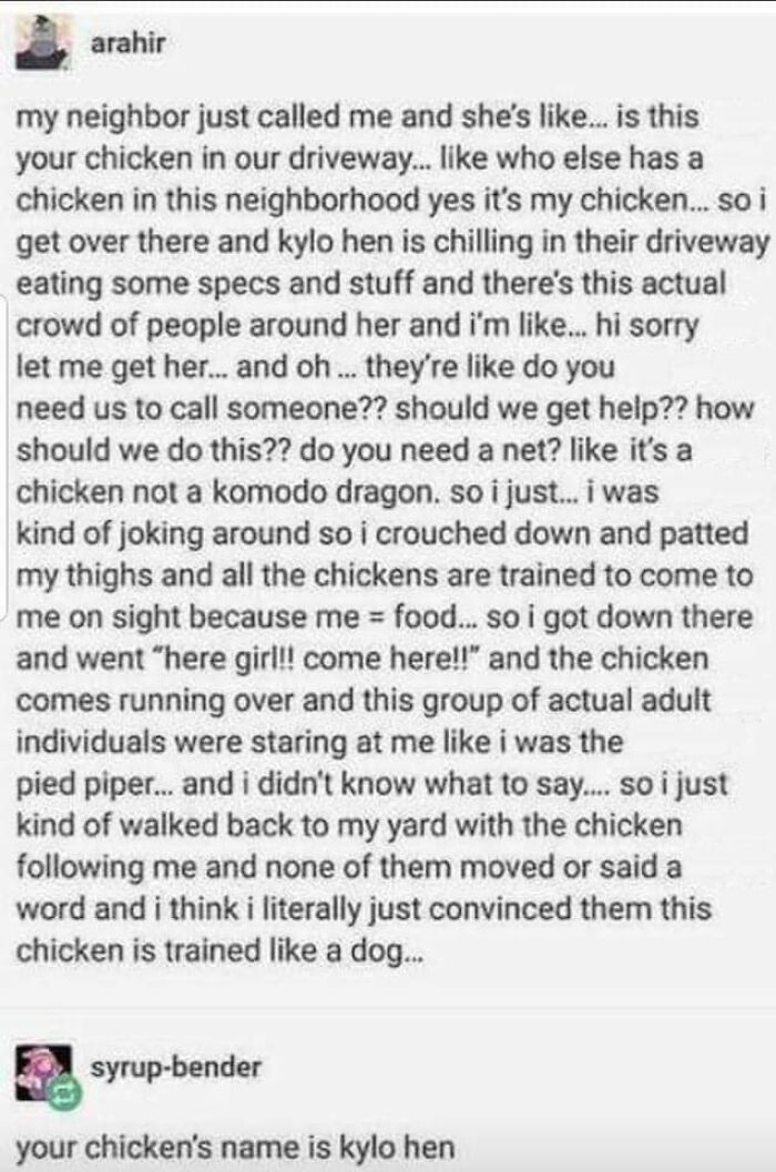 Text exchange about a chicken named Kylo Hen amusing neighbors by behaving like a trained pet.