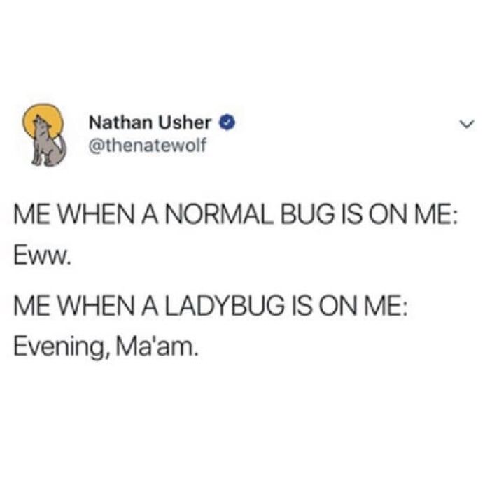 Very-Clean-Funny-Pics-Memes