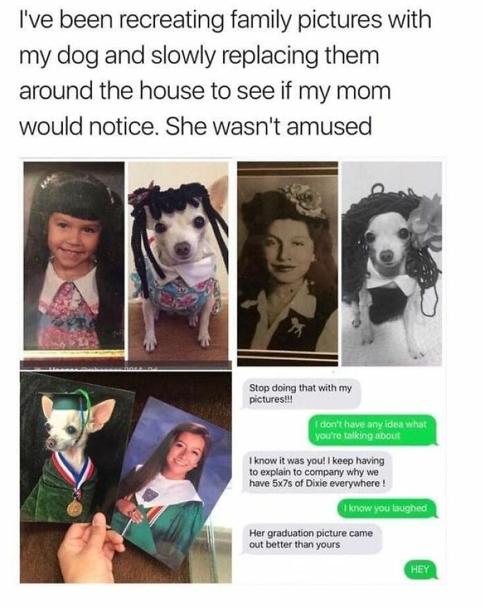 Dog humorously recreates family photos wearing outfits; funny text exchange about replacing pictures for a good laugh.