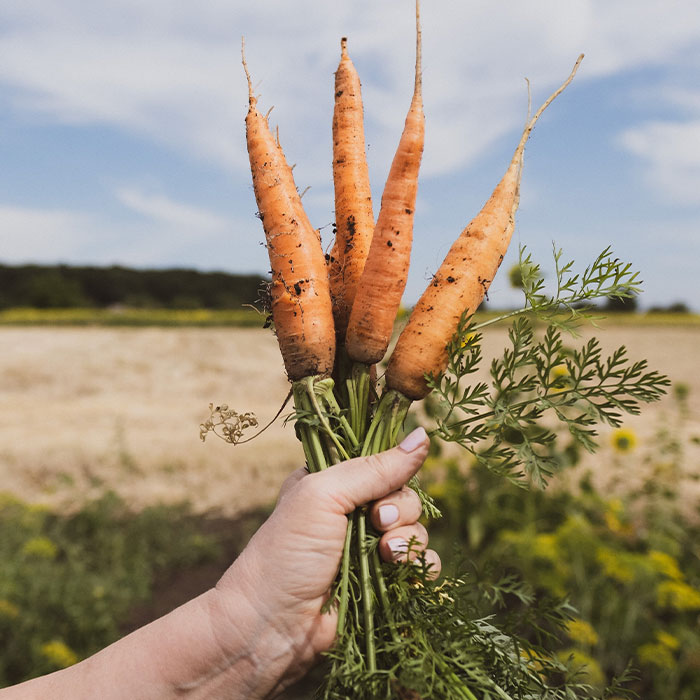 116 Weird Facts That You Just Have To Know