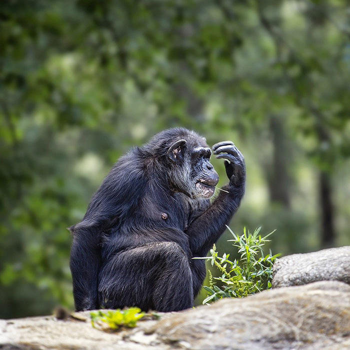 116 Weird Facts That You Just Have To Know