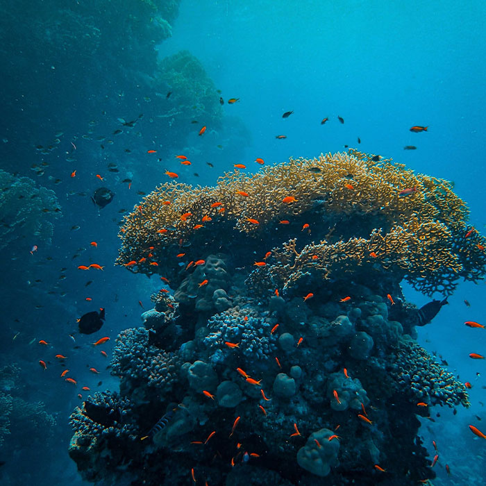 116 Weird Facts That You Just Have To Know