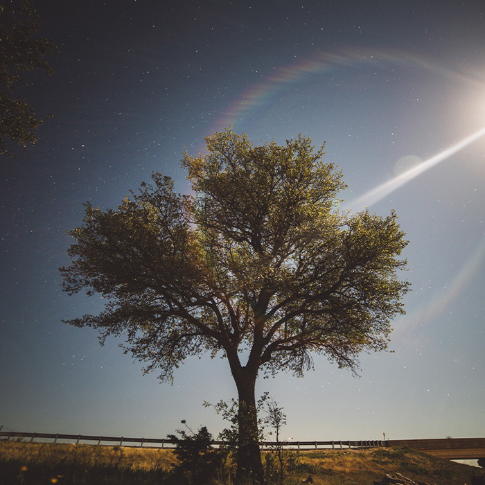 116 Weird Facts That You Just Have To Know