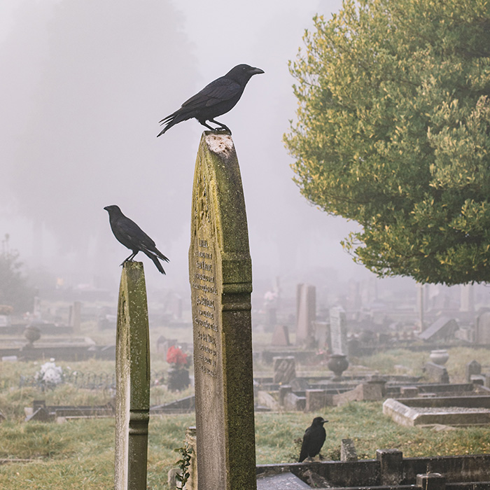 116 Weird Facts That You Just Have To Know