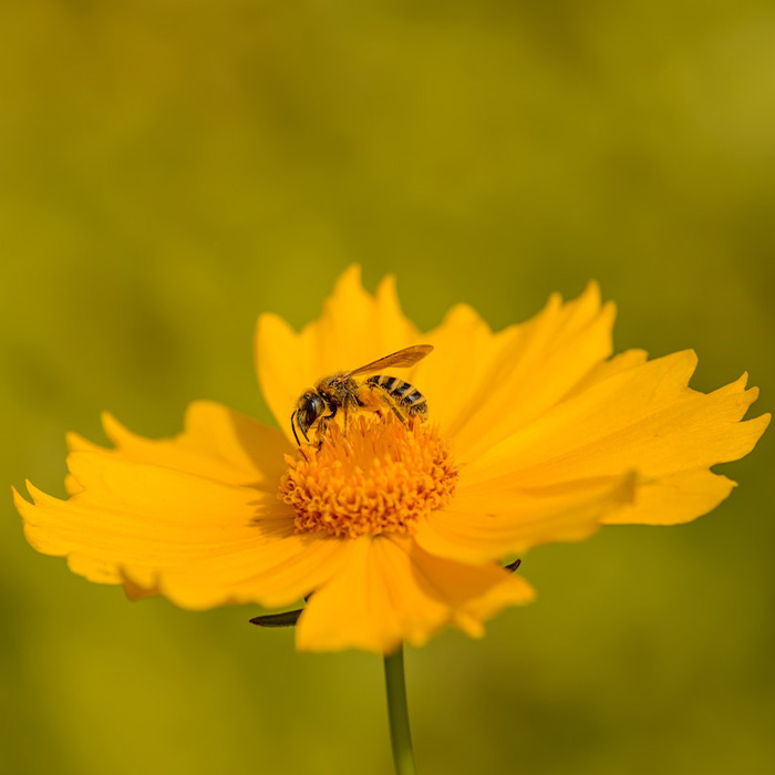 116 Weird Facts That You Just Have To Know