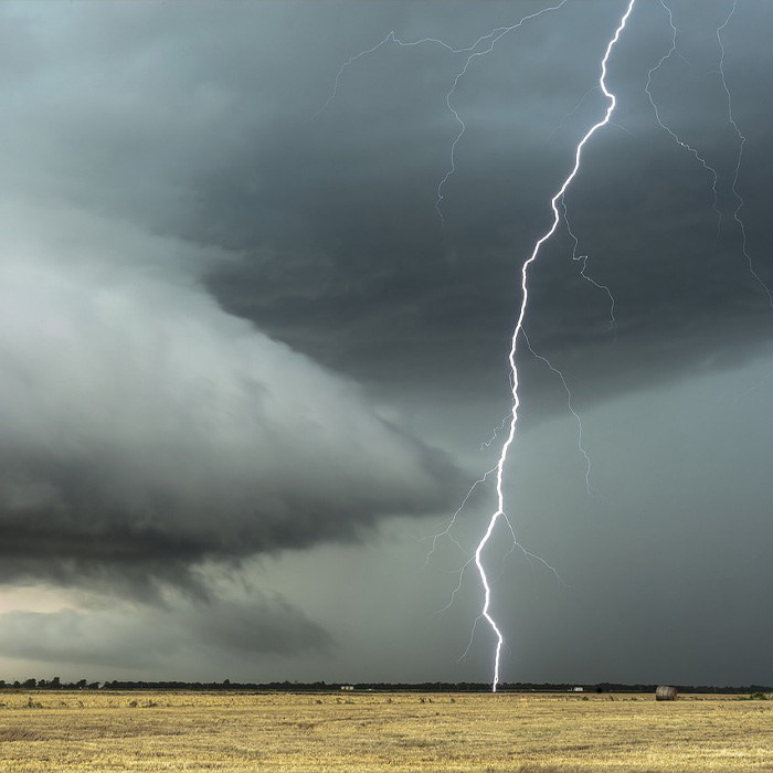 116 Weird Facts That You Just Have To Know